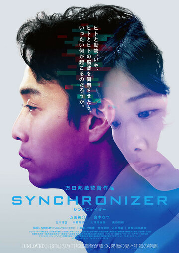 Синхронизатор (2017)