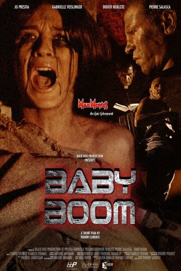 Baby Boom (2009)